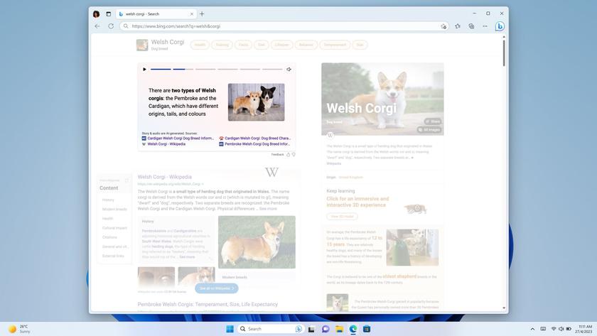 Microsoft стартира Bing Stories, в които ще се показва кратка информация за подадената към търсачката заявка